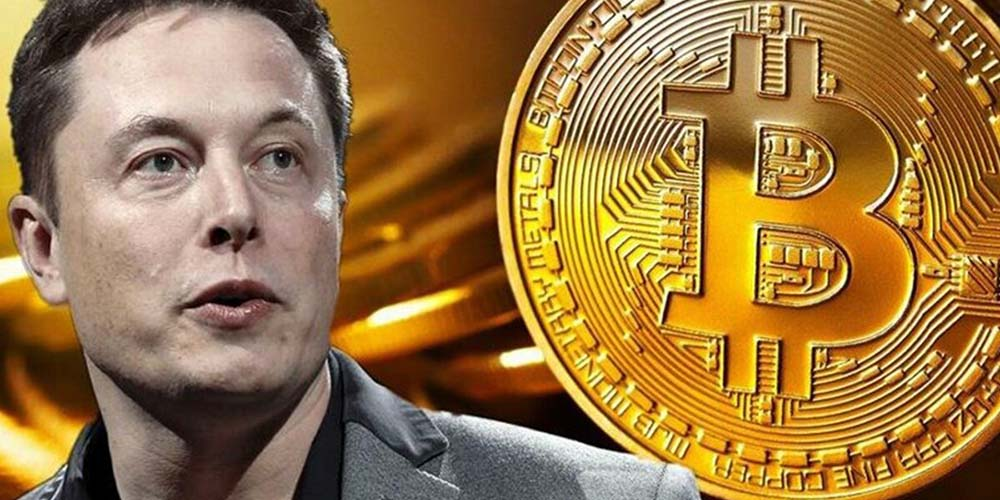 Elon-Musk-Bitcoin-Supporter